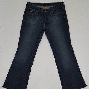 Banana Republic Dark Blue Boot Cut Jeans
